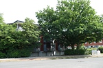 Bild: joseph-ressel-str2.jpg